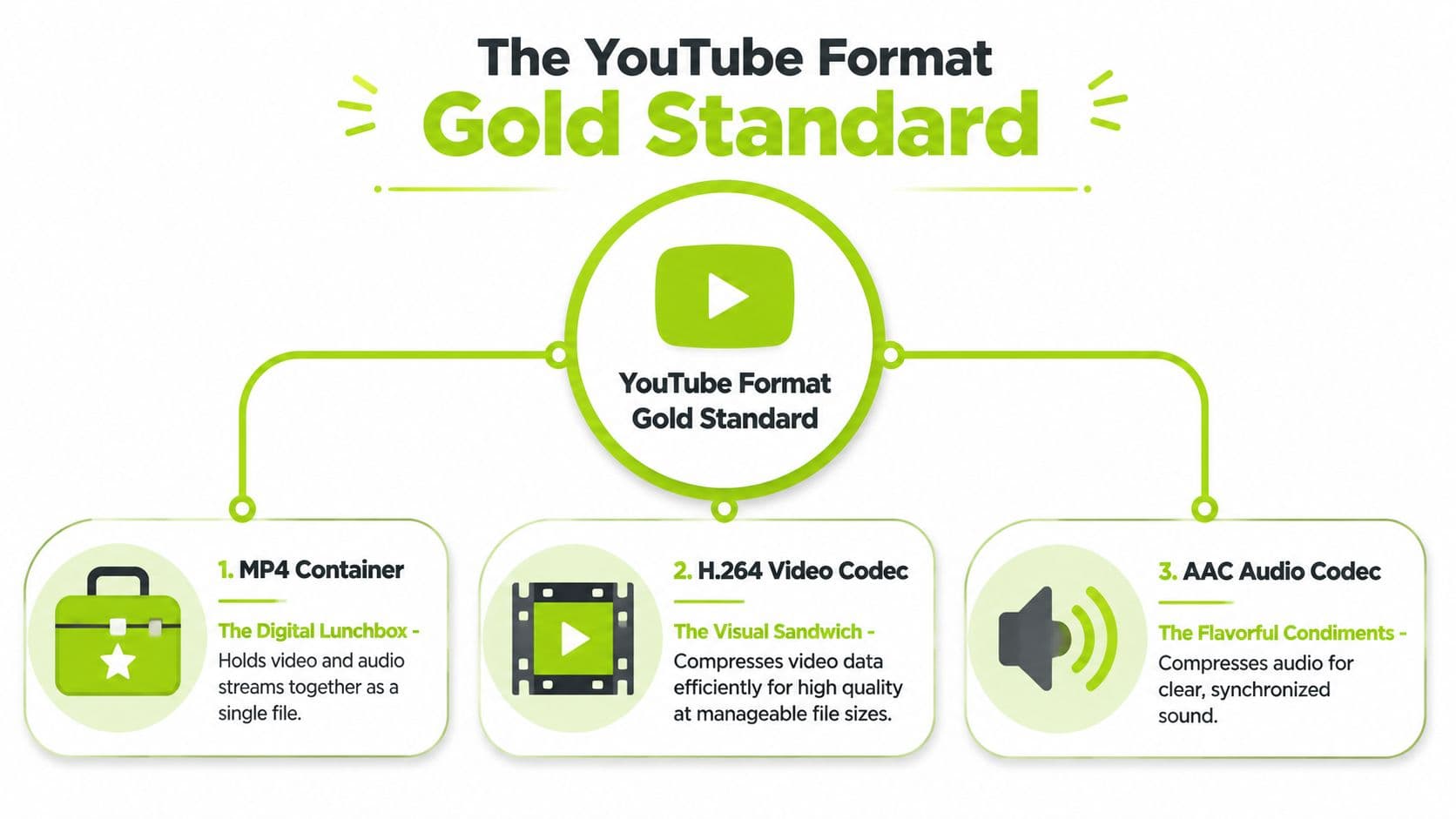 A diagram explaining the YouTube video gold standard format using an MP4 container, H.264 codec, and AAC audio.